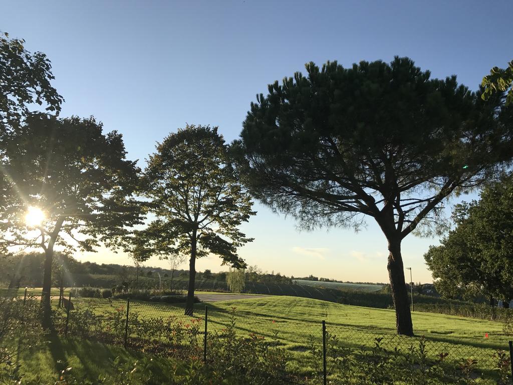 Agriturismo La Rinaldina Faenza Extérieur photo