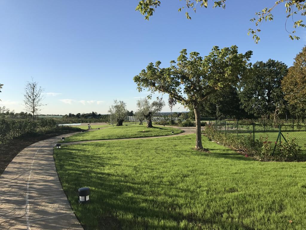 Agriturismo La Rinaldina Faenza Extérieur photo